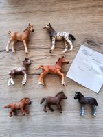 Schleich Pferde Fohlen ---Paket 5--- Sachsen - Zwickau Vorschau