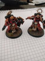 2x Bladeguard veteran Warhammer 40000 40k Kiel - Ravensberg-Brunswik-Düsternbrook Vorschau