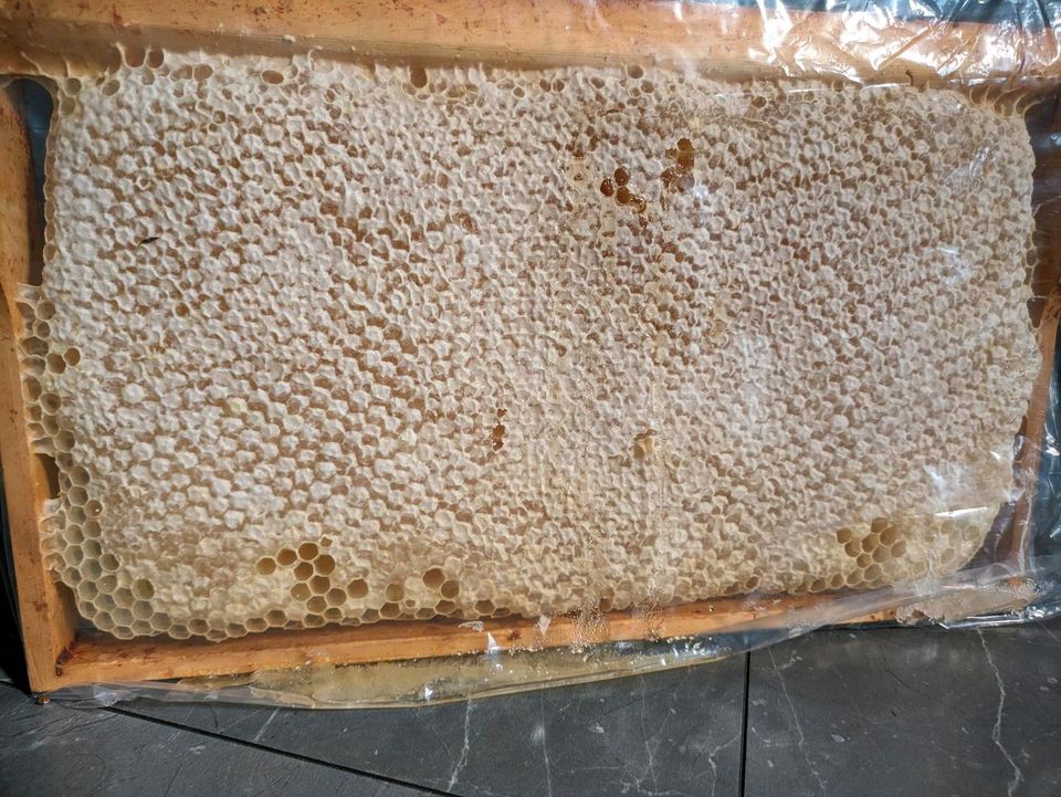 *ausverkauft*Waben mit Honig - Naturprodukt aus der Region in Hannover