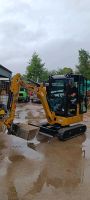 Cat 301.8 Minibagger Bagger Powertilt kx019 Nordrhein-Westfalen - Spenge Vorschau