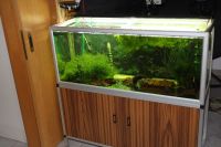 Aquarium 240 Liter mit Unterschrank und Technik Baden-Württemberg - Dettenhausen Vorschau