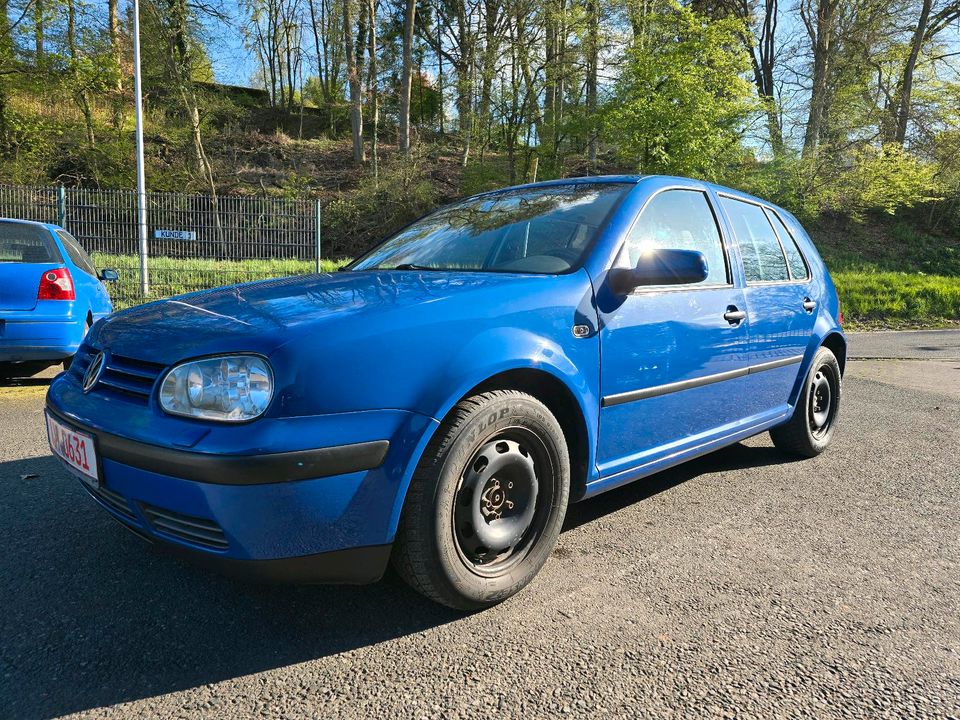 VW GOLF 4 EDITION 1.9TDI Top Zustand. in Selters