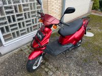 Pegasus Sky 50ccm Roller, Moped, 2-Takt, 45/50 km/h Nordrhein-Westfalen - Eitorf Vorschau