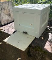 Mini Plus Ableger inkl. Beute (Holz oder Styropor) Bienen Imker Bayern - Burgkunstadt Vorschau