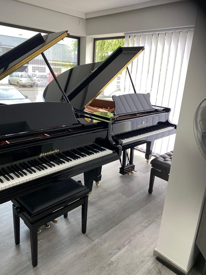 Sauter Klavier 113 bei PIANO EHRET in Viernheim in Viernheim