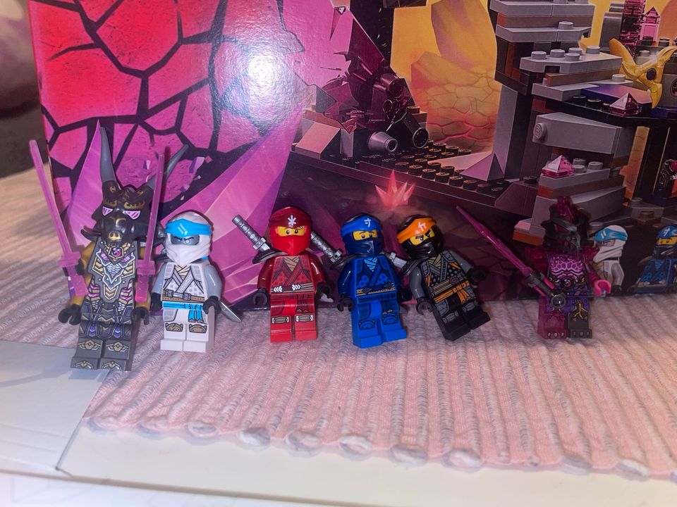 Lego Ninjago 71773,71756,71771, usw (alle 4 Sets) in Obernburg