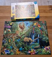 Ravensburger Puzzle 200 Teile Dschungel Tiere Niedersachsen - Bad Sachsa Vorschau