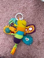 Lamaze freddie Hessen - Kiedrich Vorschau