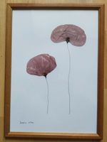 Blumenbild selbstgemacht Herbarium Mecklenburg-Vorpommern - Lassan (Vorpommern) Vorschau