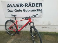 28 Zoll crossrad FOCUS  RAVEN Carbon Top Zustand Niedersachsen - Langwedel Vorschau