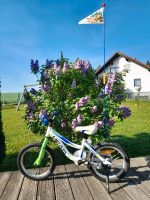 Head junior Kinderfahrrad 16 Zoll Bayern - Syrgenstein Vorschau