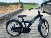 Pegasus fahrrad 20 zoll j Bayern - Thierstein Vorschau