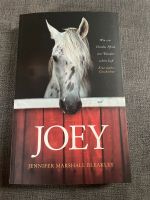 Joey - Wie ein blindes Pferd uns Wunder sehen ließ Hessen - Hünfeld Vorschau