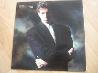 Schallplatte Vinyl LP Oltre von Claudio Baglioni FESTPREIS Bayern - Dießen Vorschau