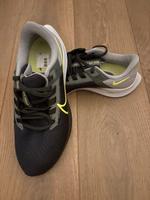 Nike Air Pegasus in Größe 42 Bonn - Bonn-Zentrum Vorschau