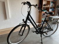 Carver E-bike / Elektrofahrrad mit tiefem Einstieg in Grau Stuttgart - Bad Cannstatt Vorschau