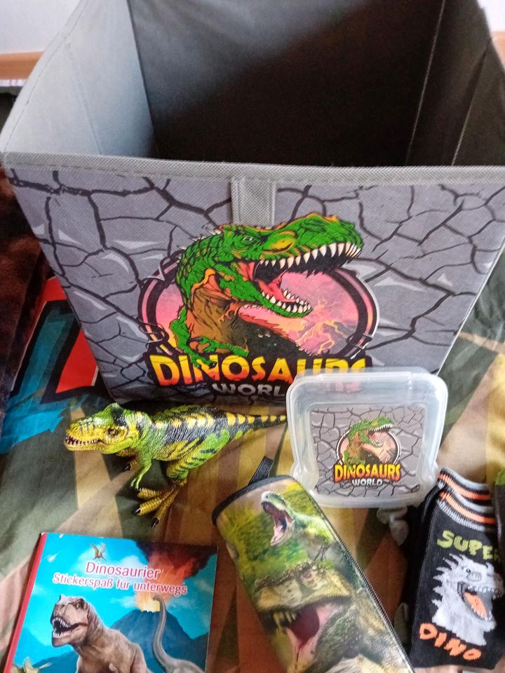 Dinosaurier Packet Geburtstag/Einschulung in Wildeshausen