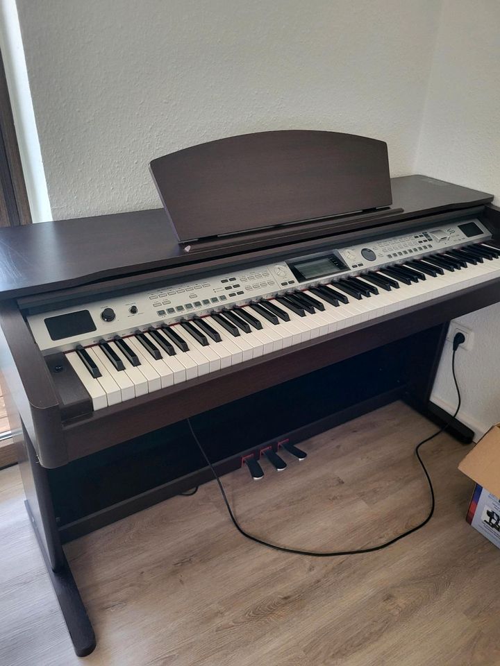 D-Piano Fame DP-680 R in Hungen