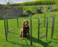 Welpenfreigehege YOUNG DOGS Welpenauslauf Tiergehege Laufstall Bayern - Rottenburg a.d.Laaber Vorschau