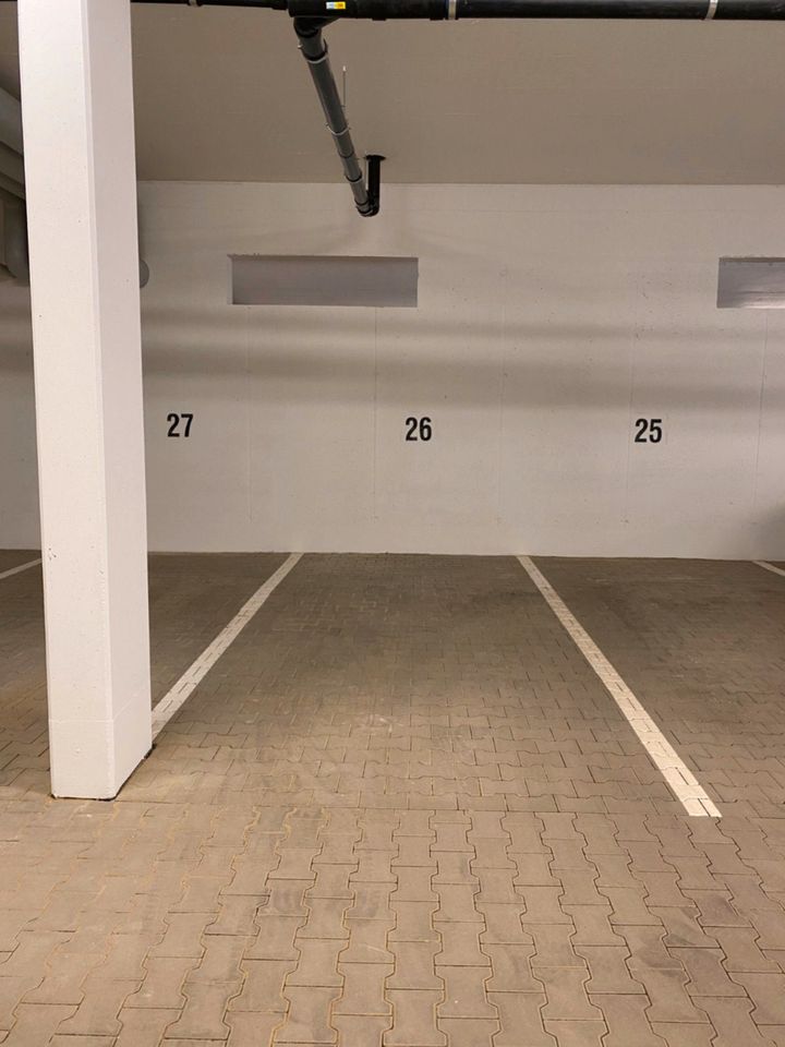 Tiefgaragenstellplatz in einer Privatgarage in Ingelheim am Rhein