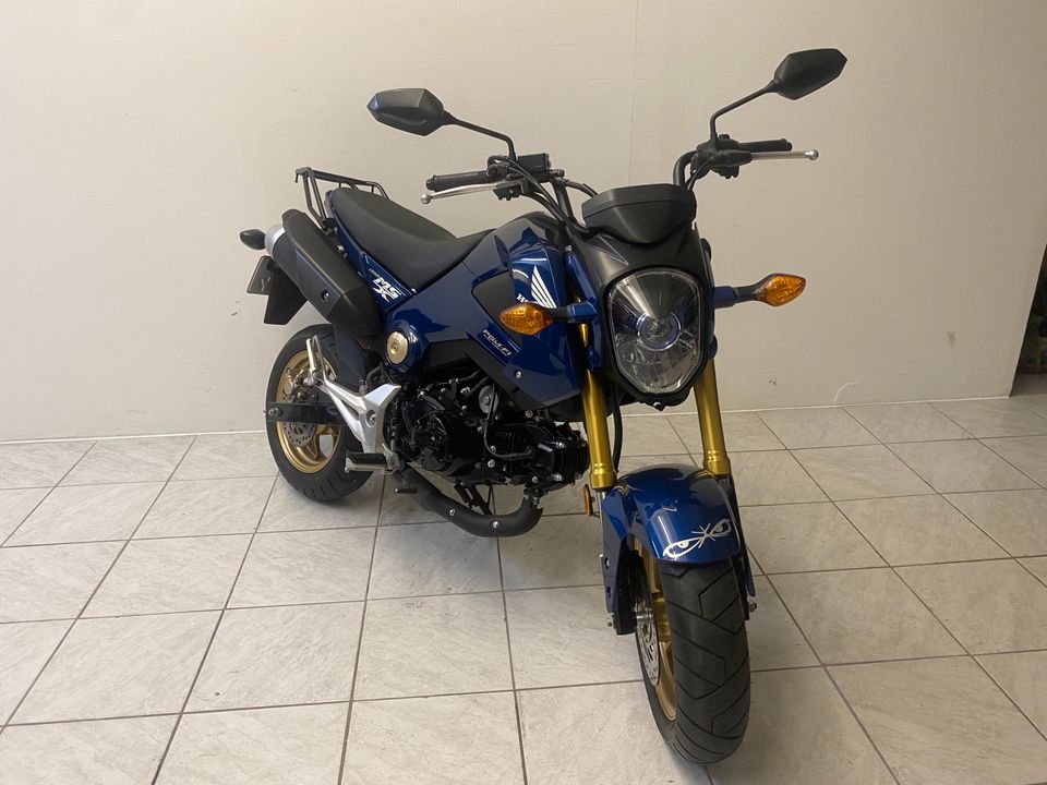 Honda MSX 125 mit Takegawa 143ccm Kit in Kirchheim bei München