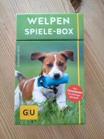 Welpen Spielebox Schleswig-Holstein - Ascheberg Vorschau