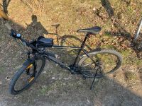 Mountainbike Scott XXL Fahrrad Bayern - Vohenstrauß Vorschau