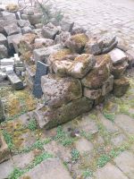 Sandsteine verschiedene Größen Sachsen - Stadt Wehlen Vorschau