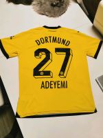 Dortmund Fußball T-Shirt Niedersachsen - Nienburg (Weser) Vorschau