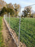 #47: Einzäunung Agrarbetriebe Pferdeweide Pfostenramme ASP Schutz Niedersachsen - Twistringen Vorschau