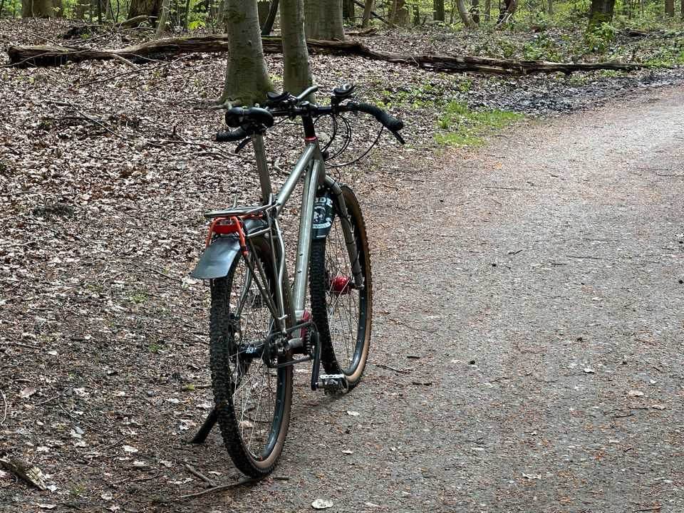 Poison Argentum PI Titan Fahrrad Pinion P1.18 in Flensburg