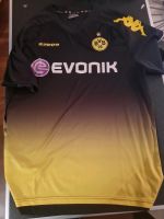 BVB  MEISTER TRIKOT XL Baden-Württemberg - Eberbach Vorschau