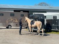 Reitbeteiligung Kreis Ostholstein - Scharbeutz Vorschau