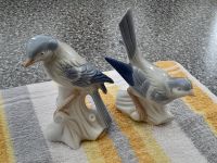 2 Vögel Figuren wahrscheinlich Porzellan Bayern - Rottendorf Unterfr Vorschau