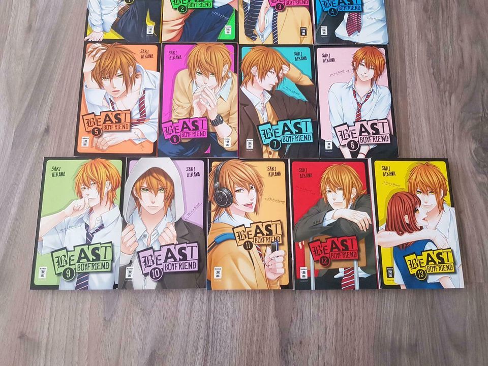 Beast Boyfriend Manga Band 1 - 13 komplett in Hof (Saale)