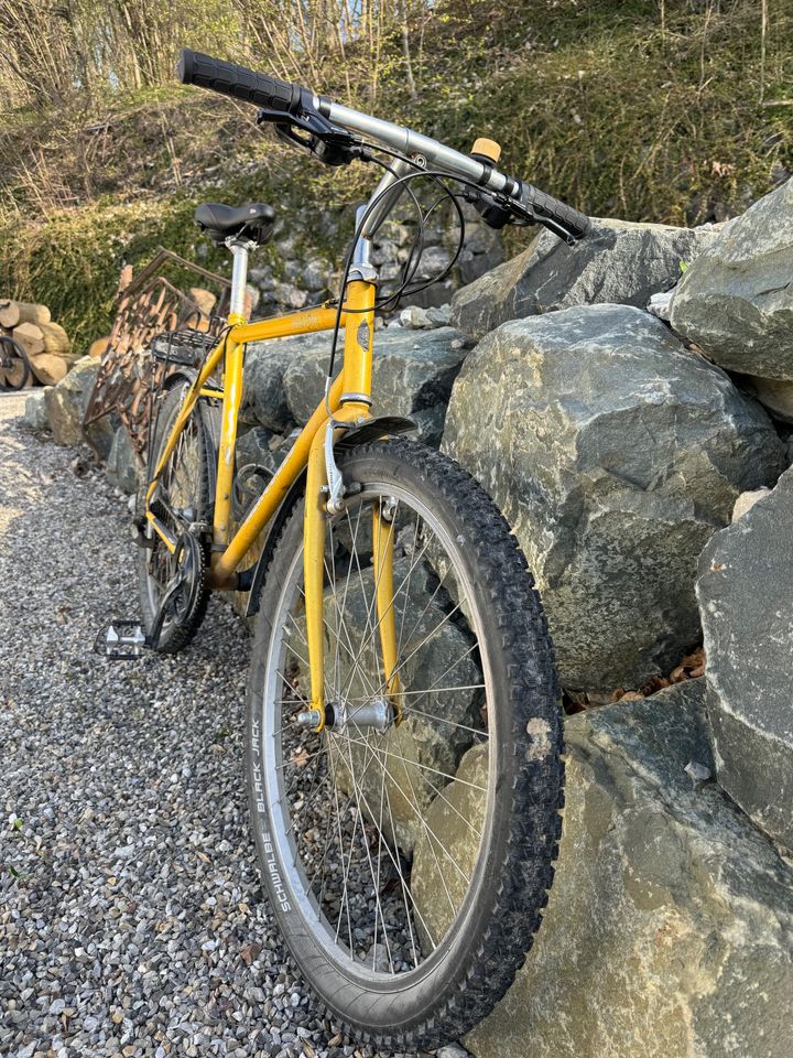 Mountainbike Herkules Vision 26 Zoll gebraucht in Altusried