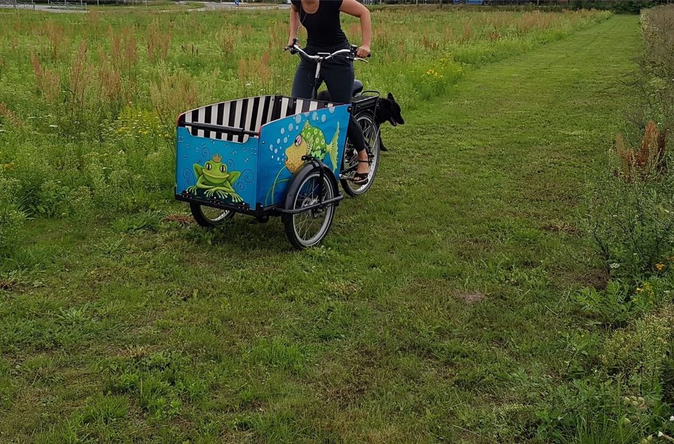 Lastenrad babboe big e-bike by.Mareike Scharmer in Lüchow