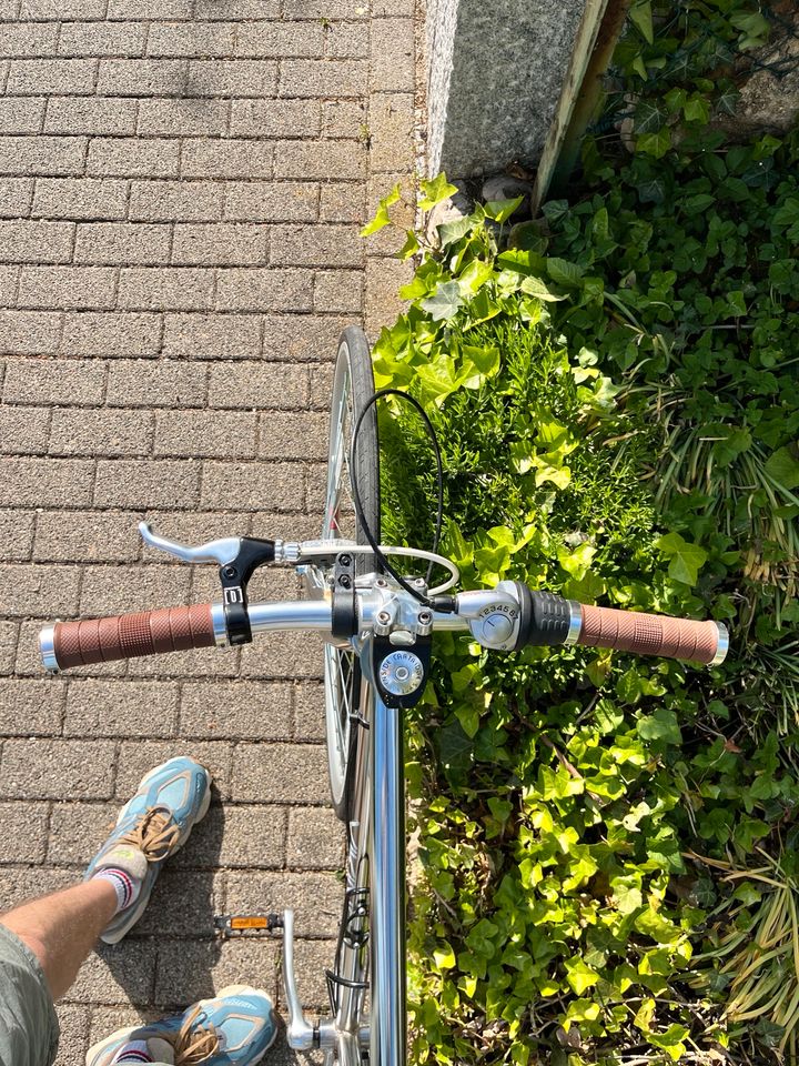 Fixie Style Custom Bike mit Nabenschaltung in Stuttgart