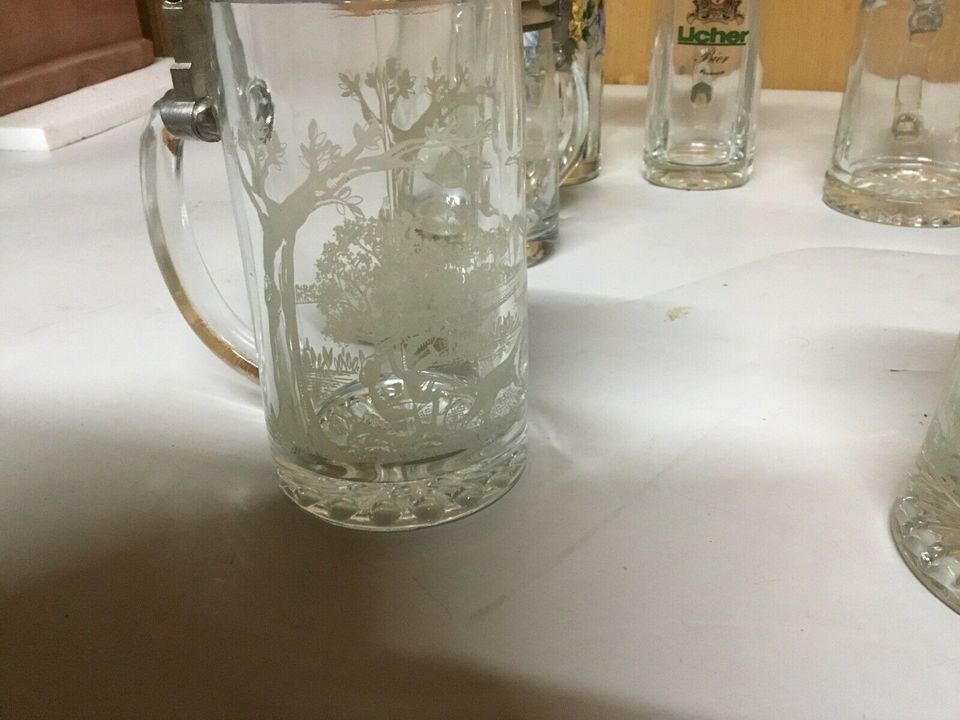 Bierkrug Konvolut in Friedberg