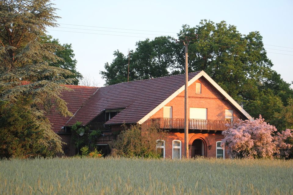 Solider Resthof mit Stallung und angrenzender Weide, Garage und Scheune in ländlicher Lage in Eydelstedt
