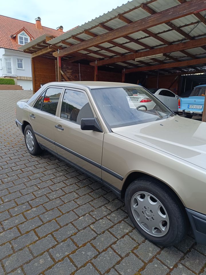 Mercedes 260e in Hosenfeld