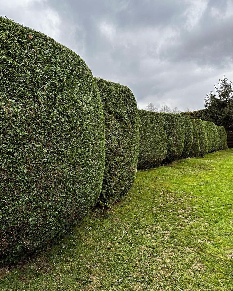 Garten- und Hausmeisterservice Luca Eismann in Michelbach (Westerwald)