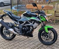 Kawasaki Z125 **grün**Mod.2024 **500€ Starterbonus Bayern - Kammeltal Vorschau