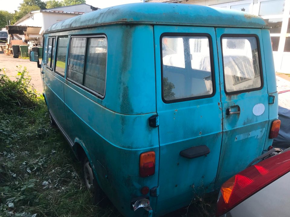 Fiat 238 E Panorama  OLDTIMER mit Papiere und H-Abnahme in Lemgo