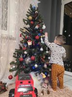 Tannenbaum 1.2m Nordrhein-Westfalen - Bergisch Gladbach Vorschau