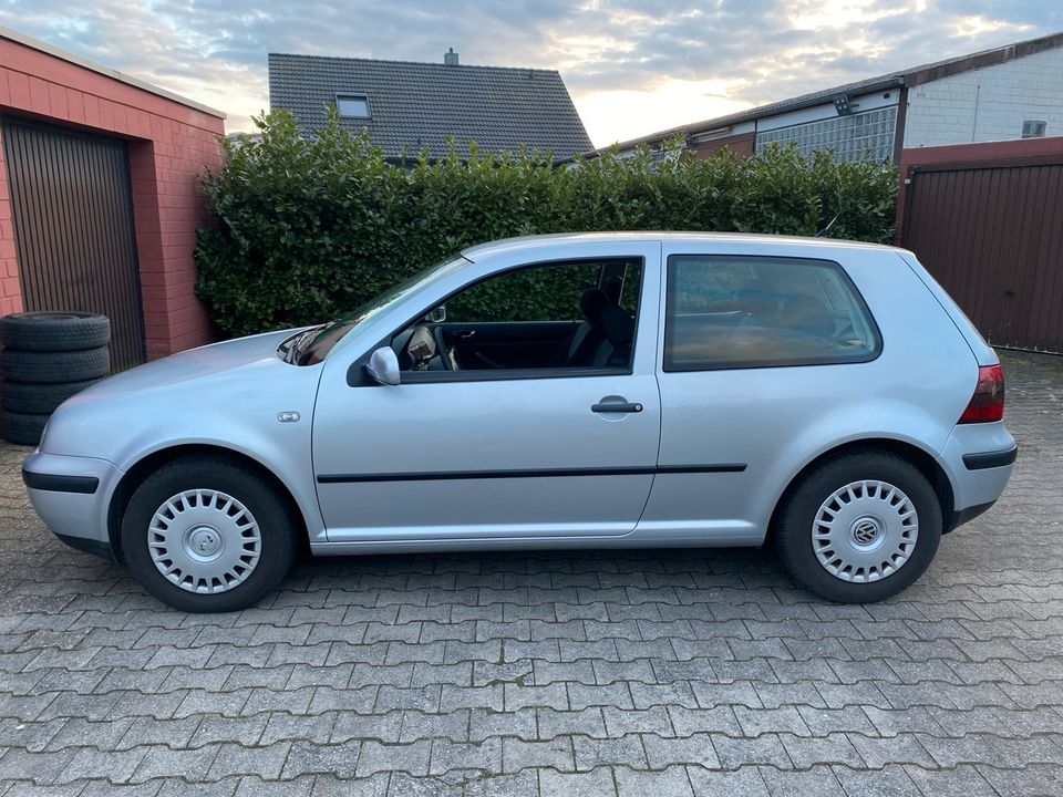 Golf 4 1.4L in Datteln