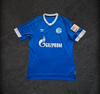 Schalke 04 Fußballtrikot Dresden - Altfranken Vorschau