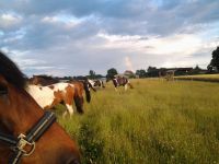 Reiterferien Ferienfreizeit Ponycamp Ferien auf dem Ponyhof Brandenburg - Karstädt Prignitz Vorschau