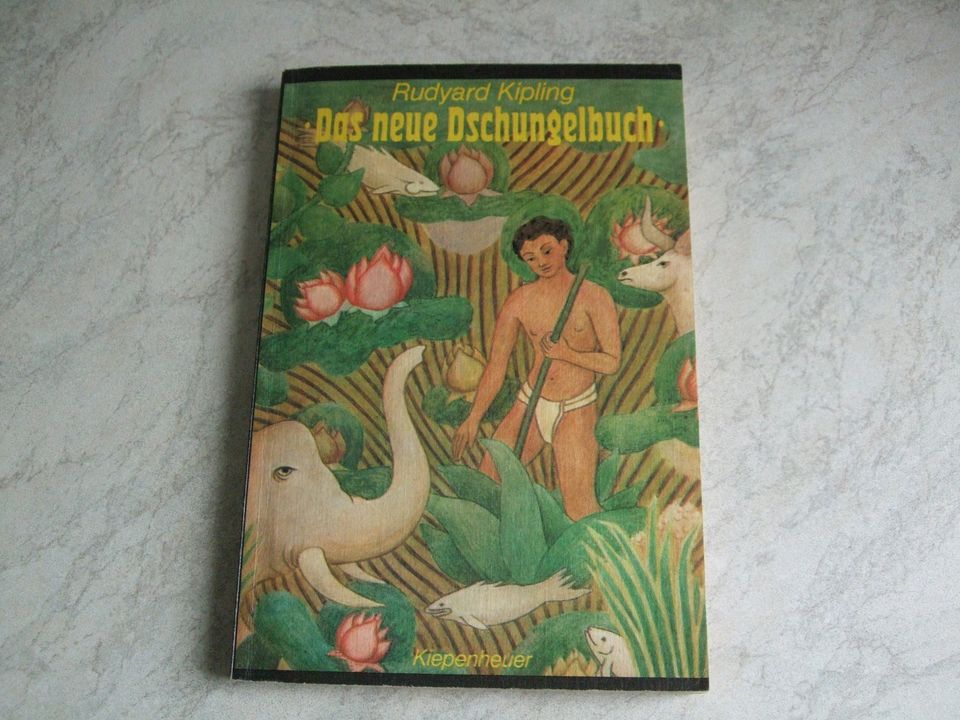 DDR Bücher"Zelte in der Wildnis" Dschungelbücher, Kurzgeschichten in Dresden