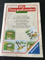 Spiel Gebrauchsanleitung - WIE TIERE GROß WERDEN - Ravensburger Rheinland-Pfalz - Köwerich Vorschau